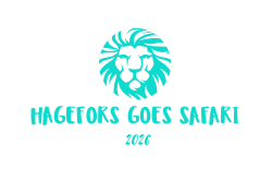 HAGEFORS GOES SAFARI